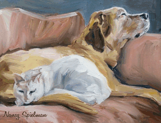 dog euthanasia and cremation